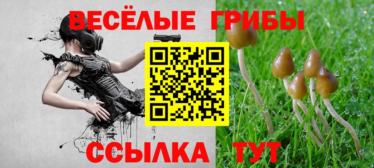 Псилоцибиновые грибы Psilocybe Татарск