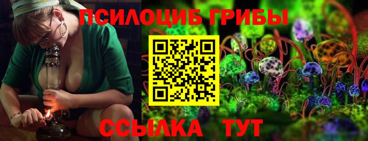 Псилоцибиновые грибы прущие грибы  Вход с VPN  Татарск 